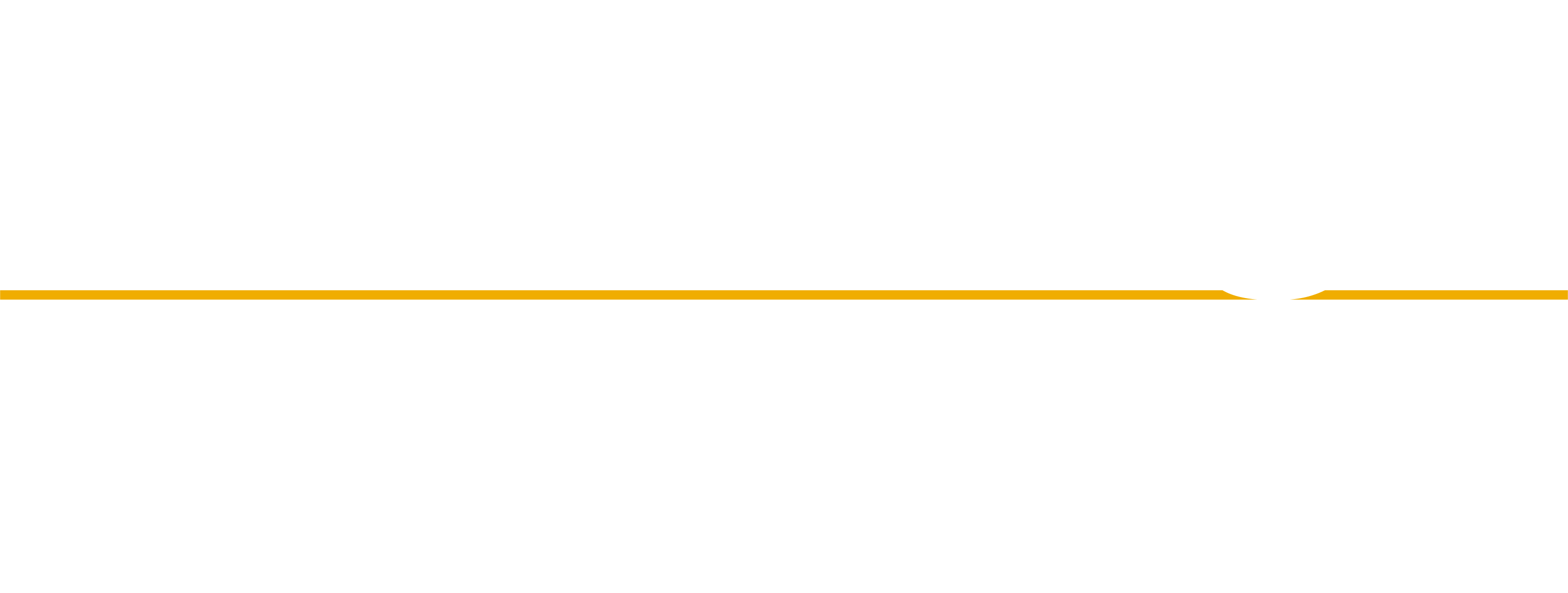 foundation logo white